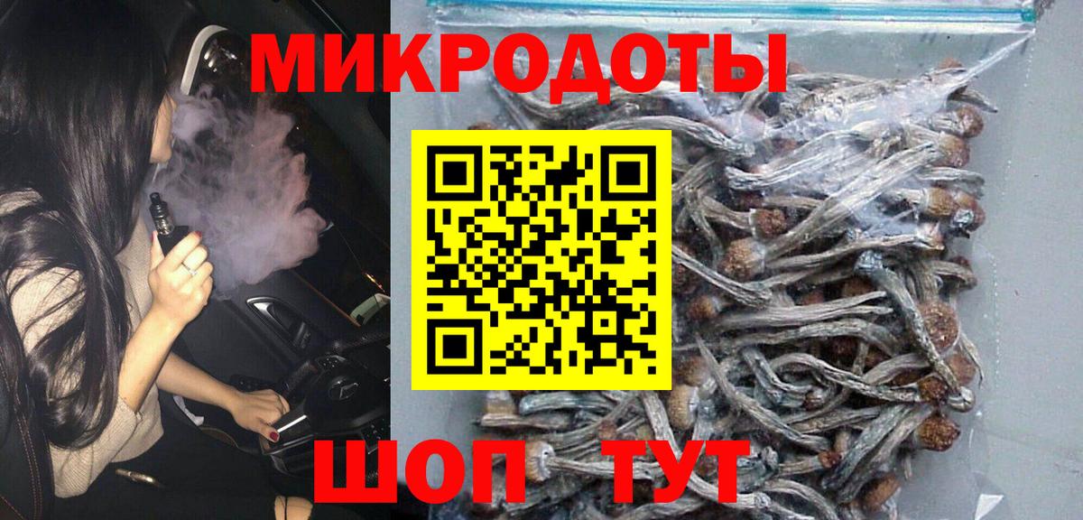 Галлюциногенные грибы Cubensis Елец