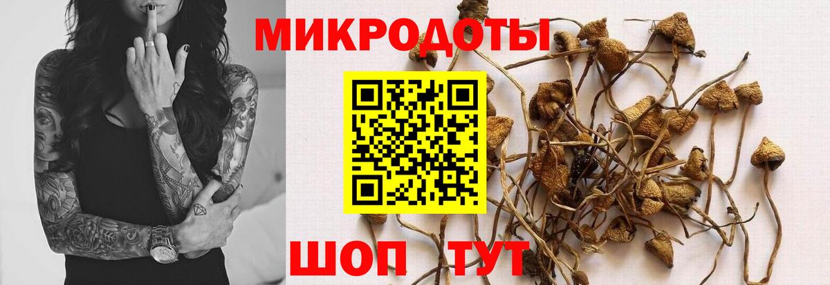 Елец  Галлюциногенные грибы Psilocybine cubensis  Галлюциногенные грибы мухоморы  Вход с VPN 